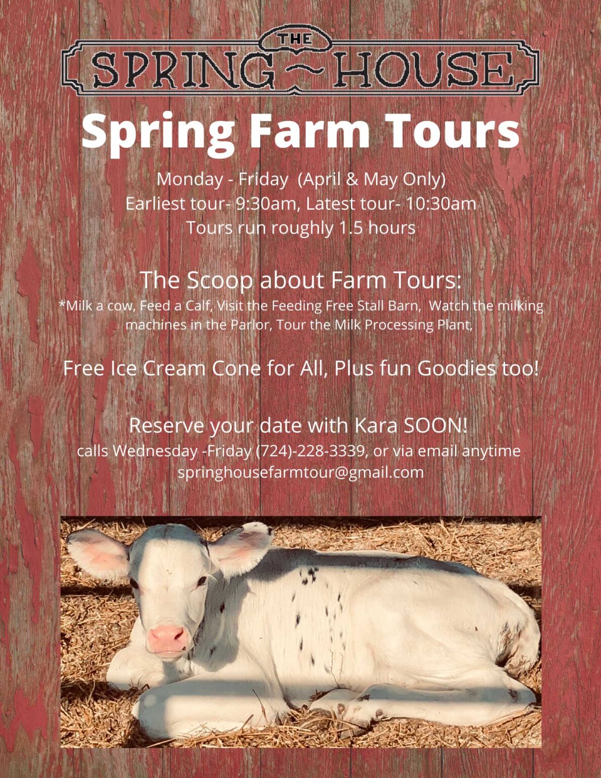 Spring Farm Tours